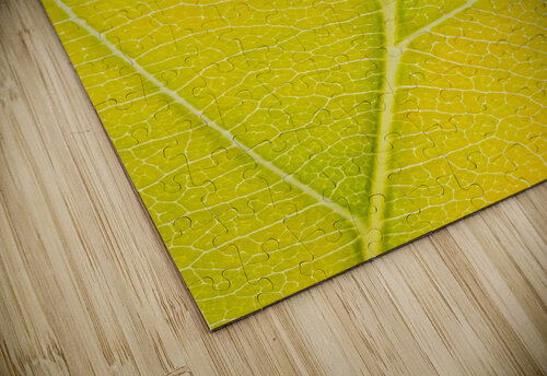 Autumn Leaf Philippe Monthoux puzzle