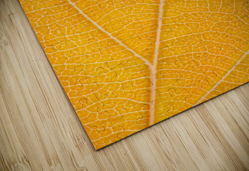 Autumn Leaf Philippe Monthoux puzzle
