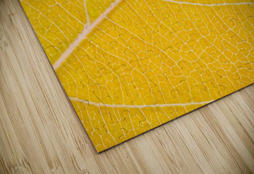 Autumn Leaf Philippe Monthoux puzzle