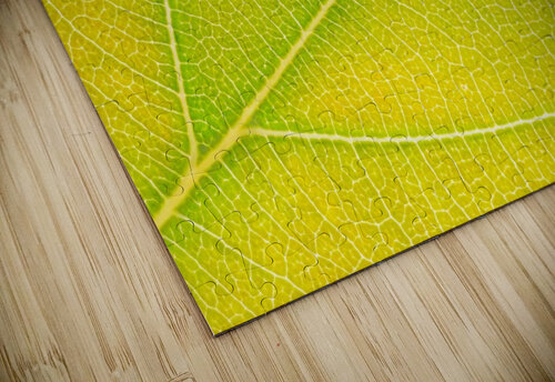 Autumn Leaf Philippe Monthoux puzzle