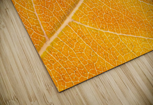 Autumn Leaf Philippe Monthoux puzzle