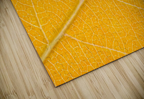Autumn Leaf Philippe Monthoux puzzle