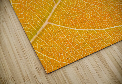 Autumn Leaf Philippe Monthoux puzzle