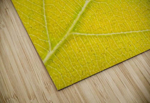 Autumn Leaf Philippe Monthoux puzzle