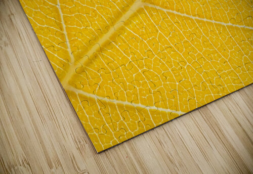 Autumn Leaf Philippe Monthoux puzzle