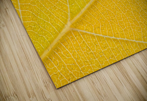 Autumn Leaf Philippe Monthoux puzzle