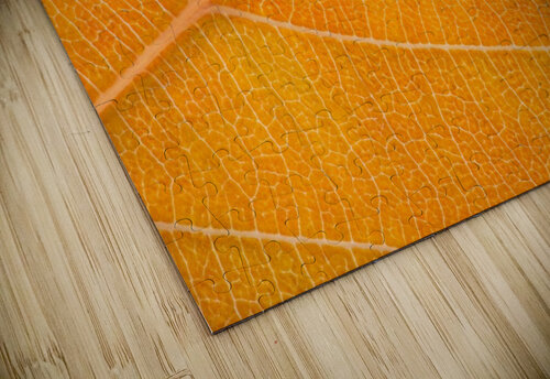 Autumn Leaf Philippe Monthoux puzzle