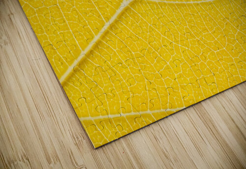 Autumn Leaf Philippe Monthoux puzzle