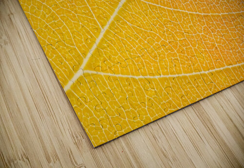 Autumn Leaf Philippe Monthoux puzzle