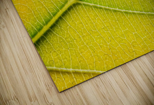 Autumn Leaf Philippe Monthoux puzzle