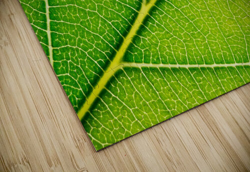 Autumn Leaf Philippe Monthoux puzzle