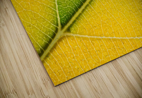 Autumn Leaf Philippe Monthoux puzzle