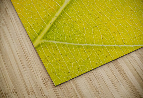 Autumn Leaf Philippe Monthoux puzzle