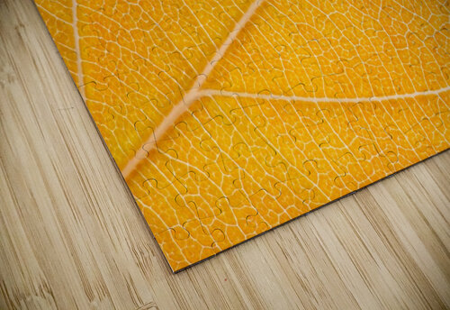 Autumn Leaf Philippe Monthoux puzzle