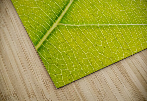 Autumn Leaf Philippe Monthoux puzzle