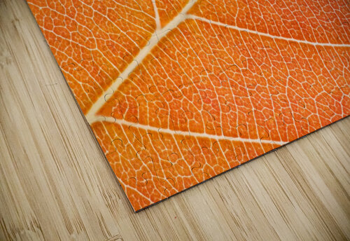 Autumn Leaf Philippe Monthoux puzzle