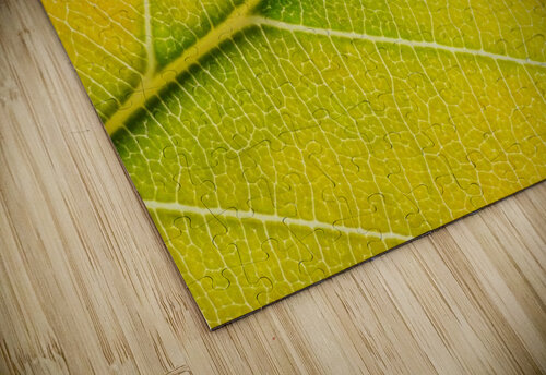 Autumn Leaf Philippe Monthoux puzzle