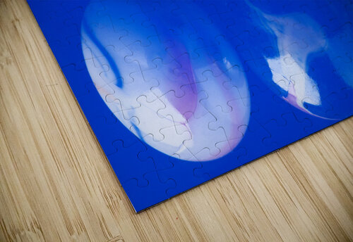 Marbles Philippe Monthoux puzzle