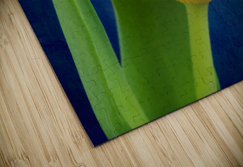 Tulip Philippe Monthoux puzzle