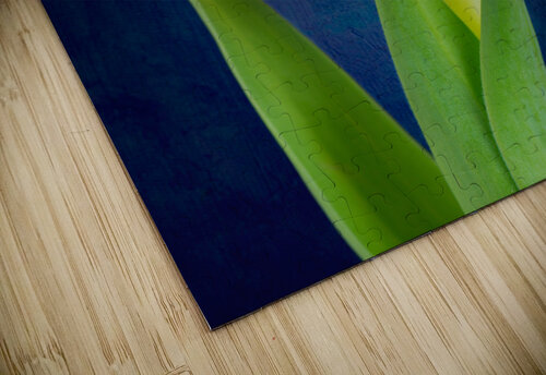 Tulip Philippe Monthoux puzzle