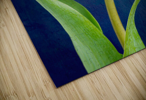 Tulip Philippe Monthoux puzzle
