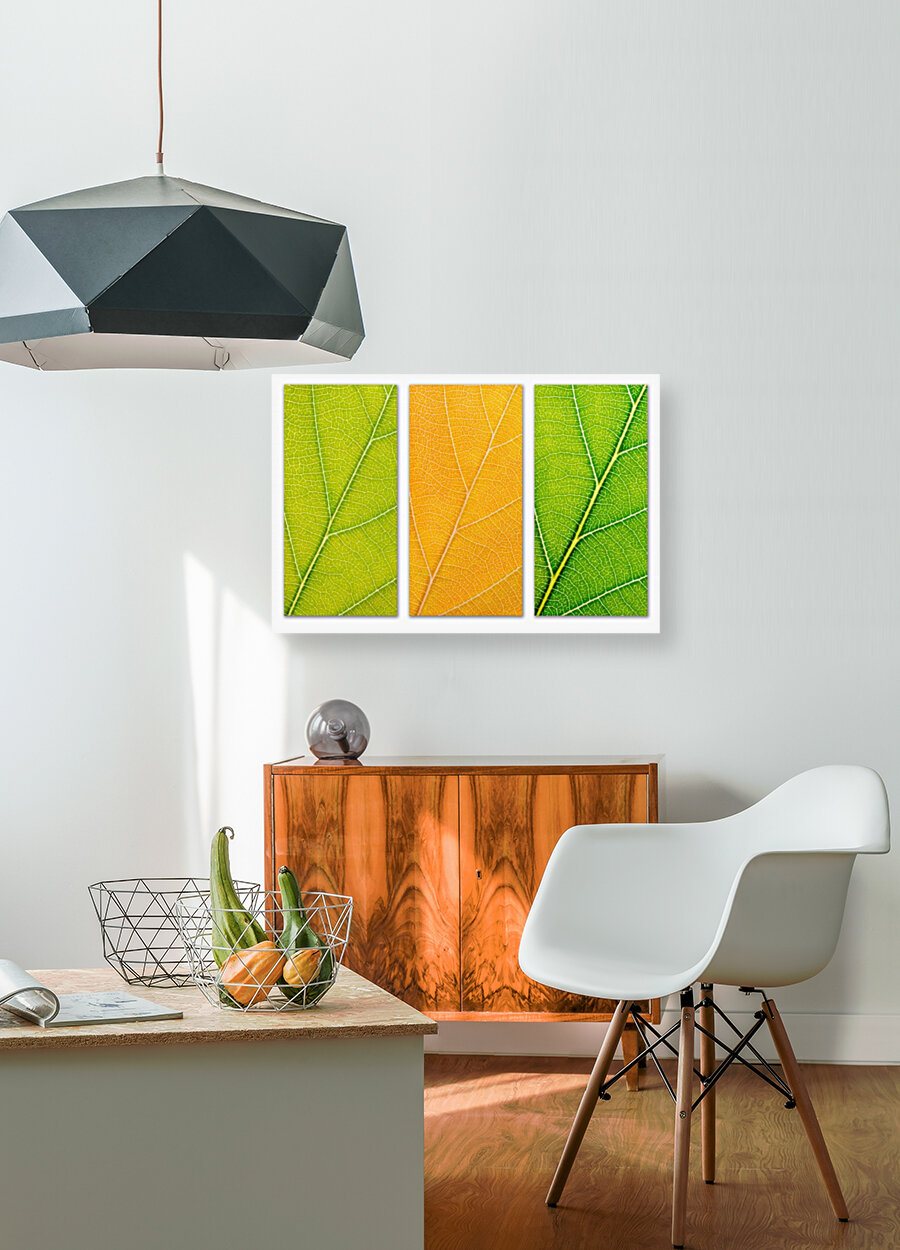 Autumn Leaves Reproduction