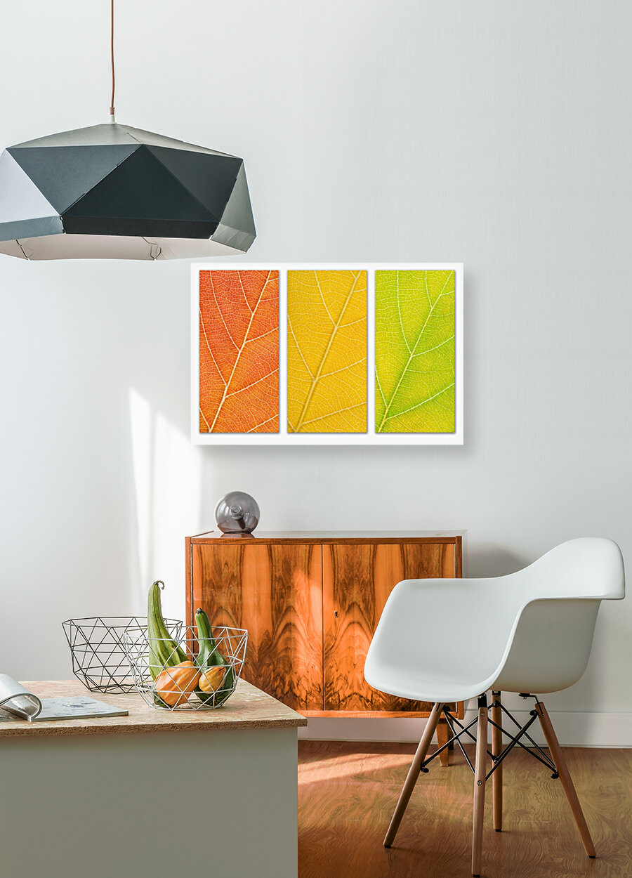 Autumn Leaves Reproduction