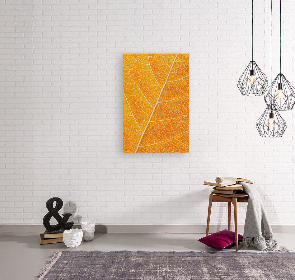 Autumn Leaf Reproduction