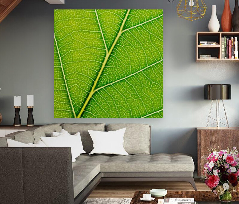 Autumn Leaf Reproduction