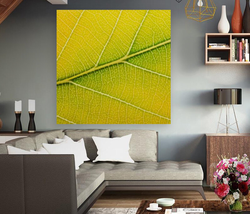 Autumn Leaf Reproduction