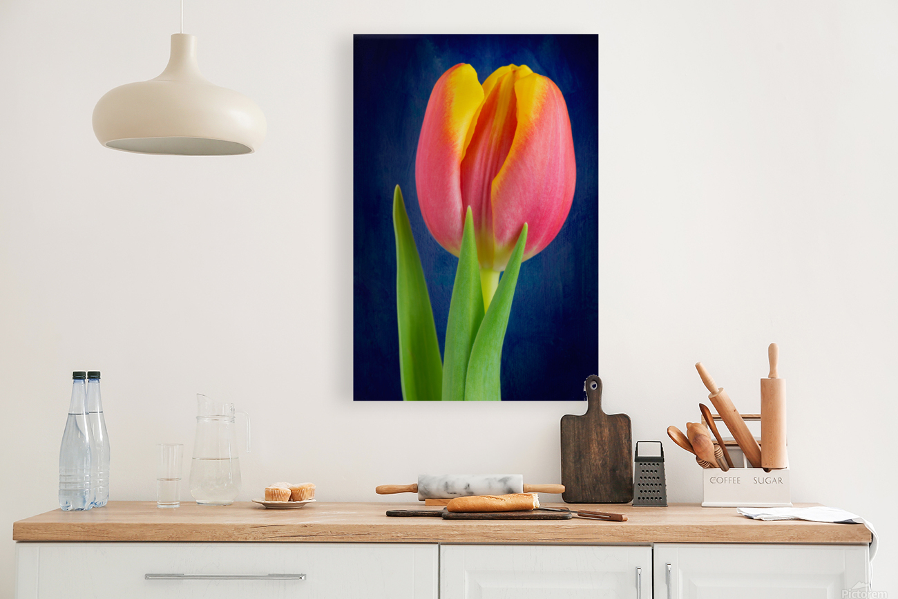 Tulip Reproduction