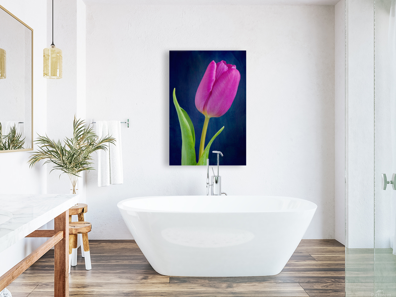 Tulip Reproduction