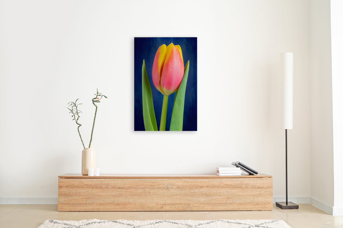Tulip Reproduction
