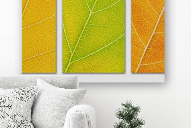 Autumn Leaves by Philippe Monthoux