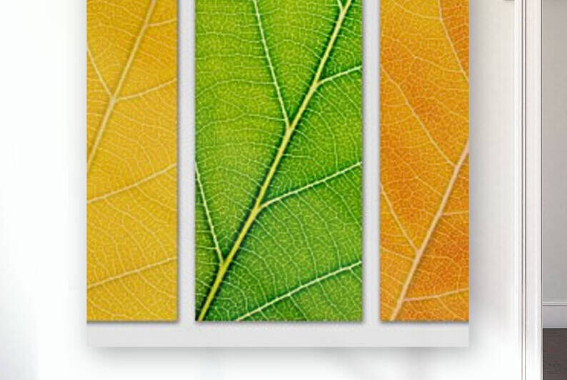 Autumn Leaves by Philippe Monthoux