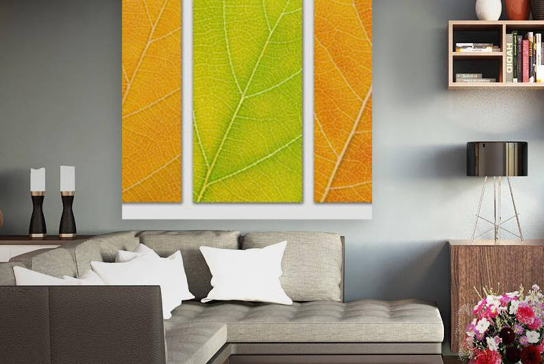 Autumn Leaves by Philippe Monthoux