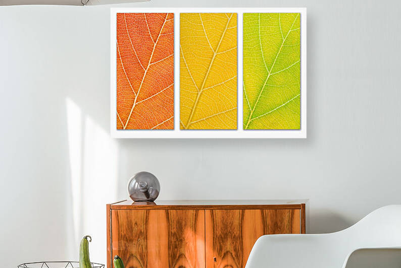 Autumn Leaves by Philippe Monthoux