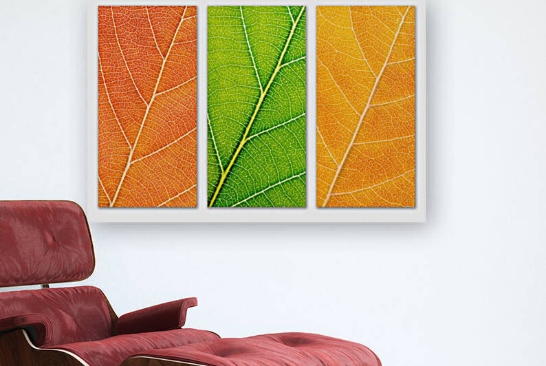 Autumn Leaves by Philippe Monthoux