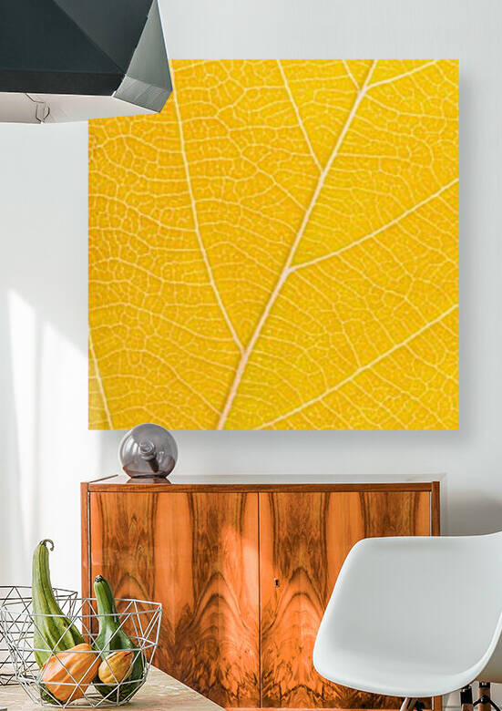 Autumn Leaf by Philippe Monthoux