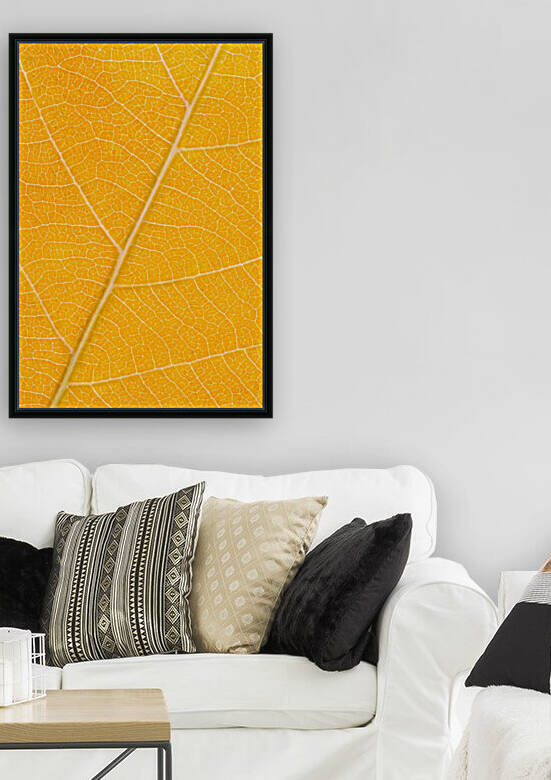 Autumn Leaf by Philippe Monthoux