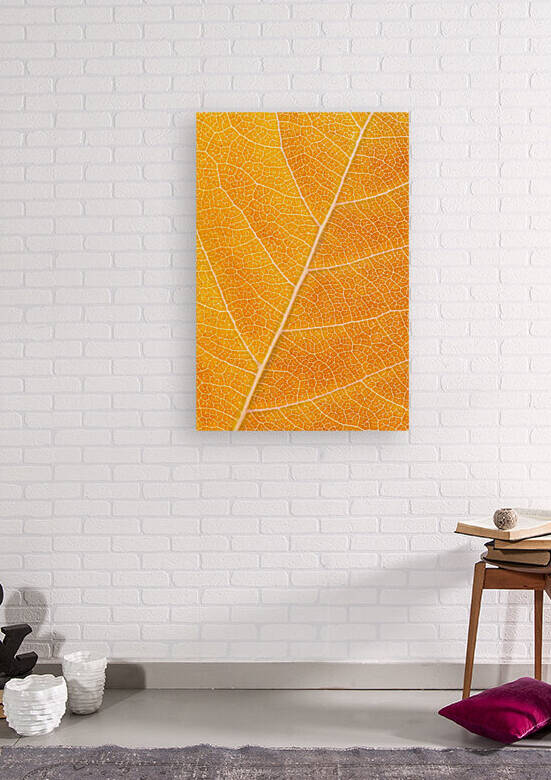 Autumn Leaf by Philippe Monthoux