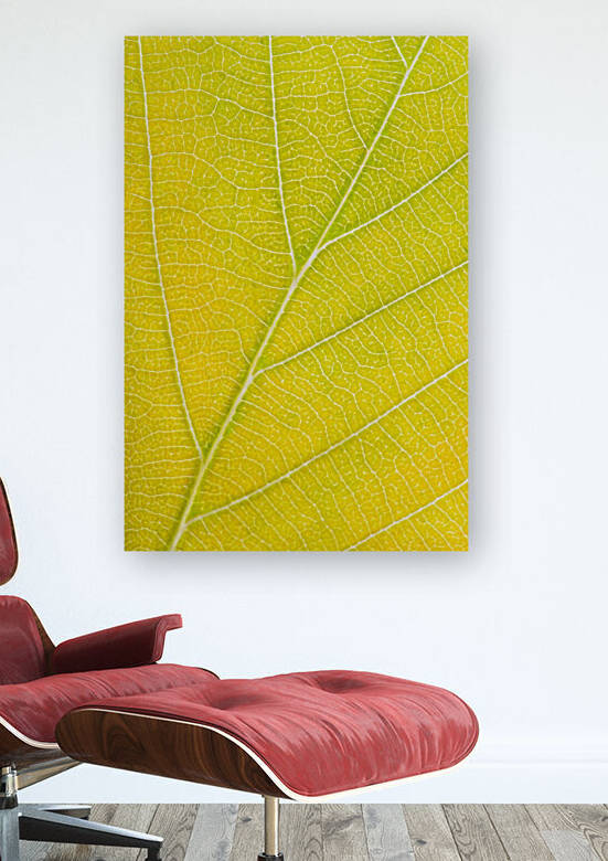 Autumn Leaf by Philippe Monthoux