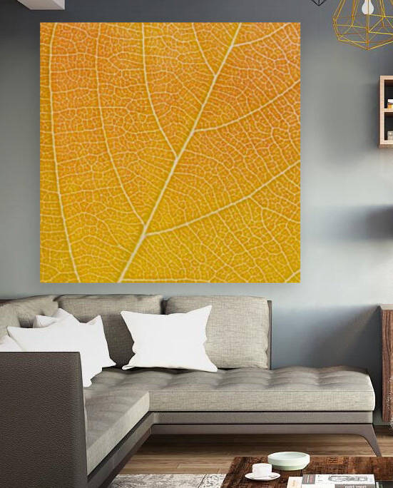 Autumn Leaf by Philippe Monthoux
