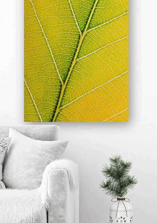 Autumn Leaf by Philippe Monthoux