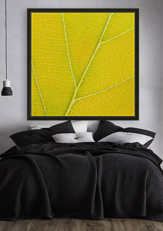 Autumn Leaf by Philippe Monthoux