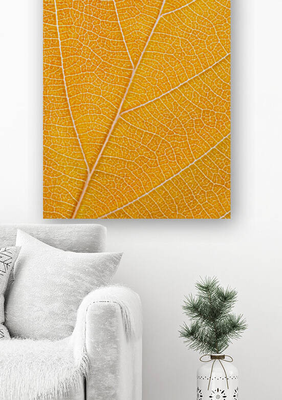 Autumn Leaf by Philippe Monthoux