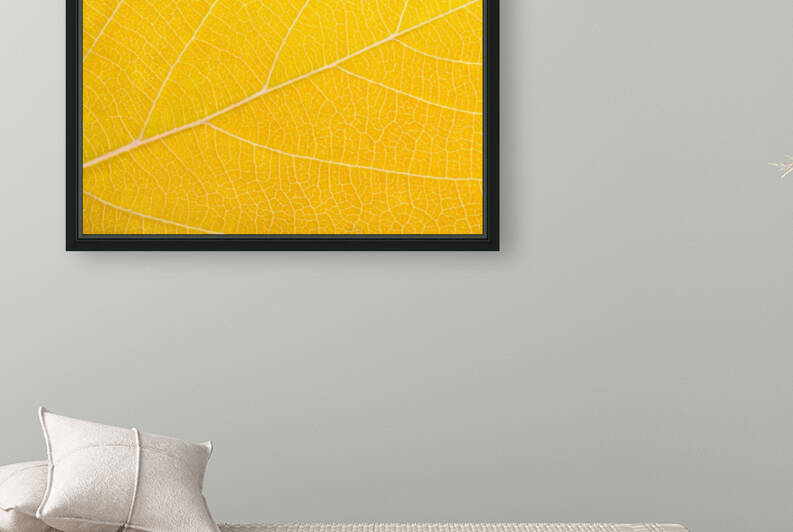 Autumn Leaf by Philippe Monthoux