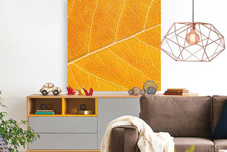 Autumn Leaf by Philippe Monthoux