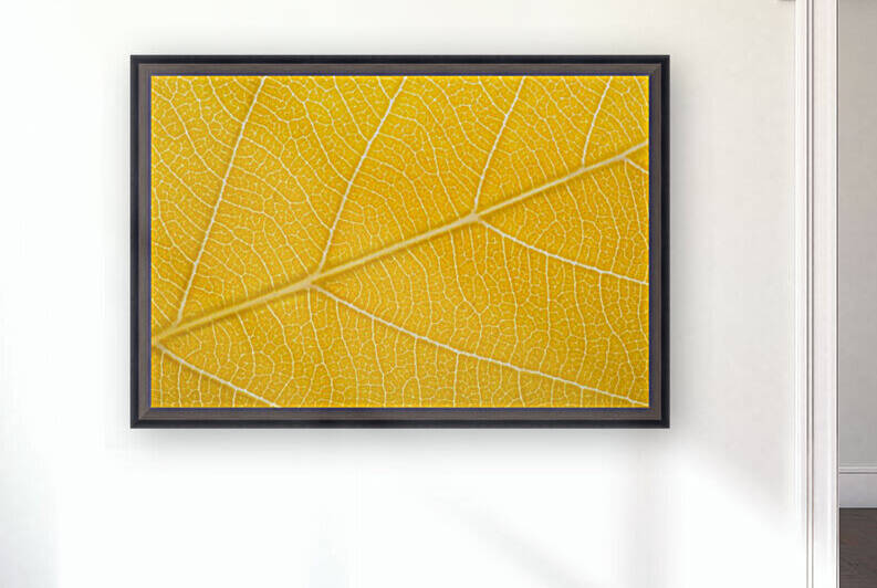 Autumn Leaf by Philippe Monthoux