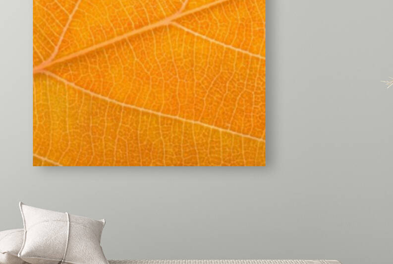 Autumn Leaf by Philippe Monthoux